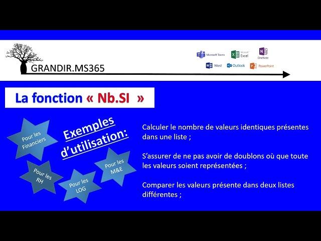 EXCEL : Tutoriel - La fonction NB.SI en moins de 5 minutes !