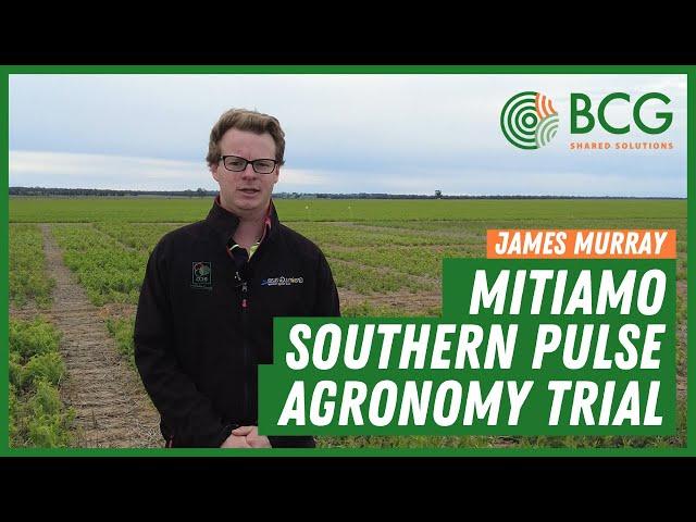 BCG Mitiamo Southern Pulse Agronomy Trial Site - 2021