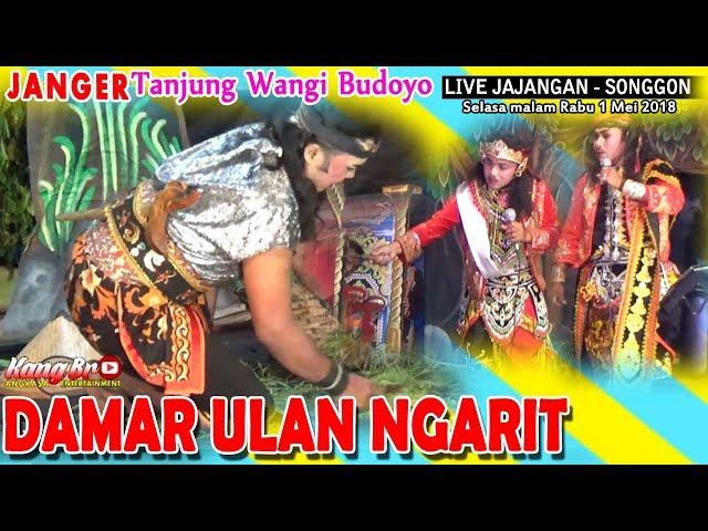 JANGER TANJUNG WANGI BUDOYO - DAMAR ULAN NGARIT, LIVE JAJANGAN