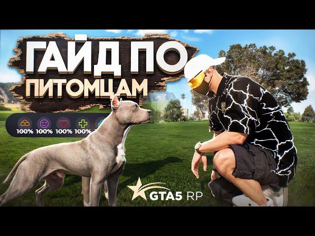 ГАЙД ПО ПИТОМЦАМ И ИХ НАВЫКАМ GTA 5 RP | ГТА 5 РП