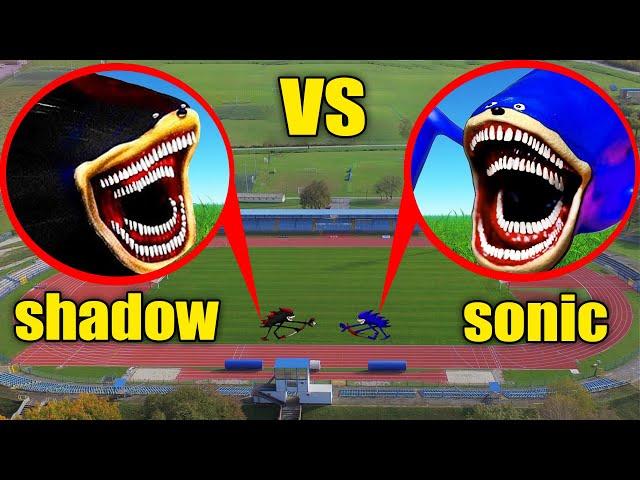 DRONE CATCHES SHIN SONIC TAPES VS SHADOW IN REAL LIFE !!