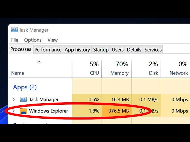 Windows 11 Explorer High Memory Usage (Big Issue)