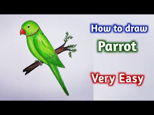 how to draw parrot easy step by step||Gali Gali Art ||