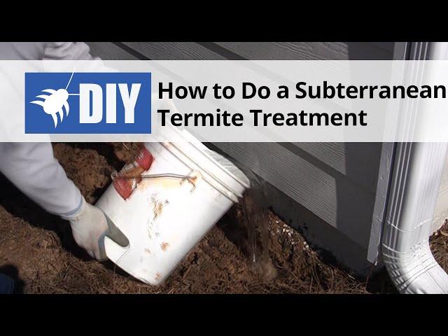 How To Do a Subterranean Termite Treatment