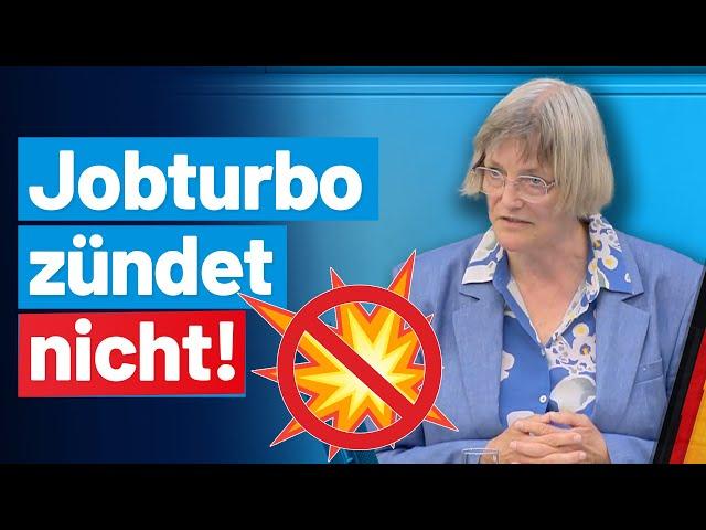 Zahlen lügen nicht: Gerrit Huy räumt mit Bürgergeld-Lüge auf! AfD-Fraktion im Bundestag