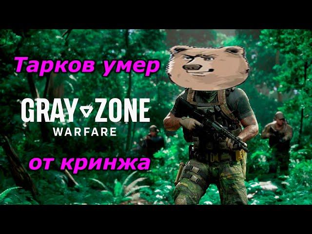 Gray Zone Warfare. Пока что точно не стоит