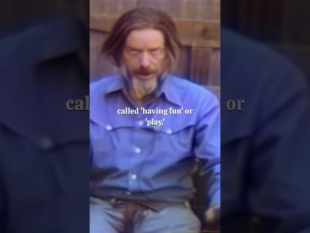 Alan Watts - A rigid division - Work as Play