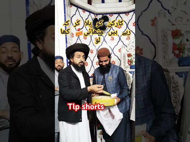 قائد بے مثال Hafiz Saad Hussain Rizvi latest status shorts TLP#khadimhussainrizvi #saadhussainrizvi