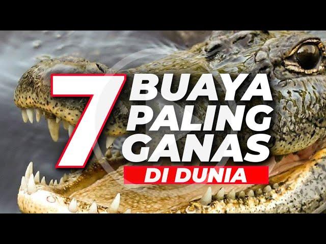 7 BUAYA PALING GANAS DI DUNIA