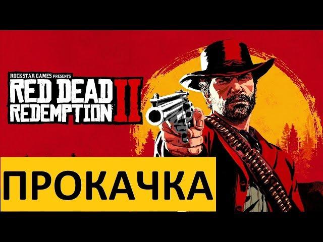 Прокачка здоровья, меткого глаза и выносливости в Red Dead Redemption 2 (прохождение RDR2)