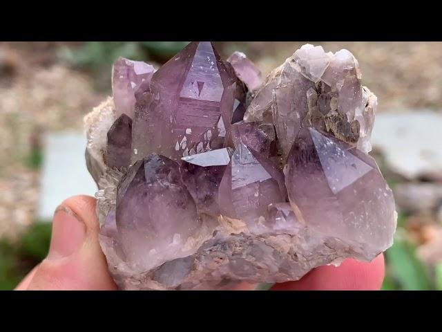 Hunting for California Amethyst Crystals