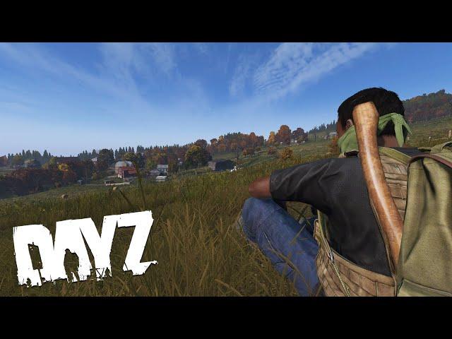 Taking on OFFICIAL Servers as a Lone Wolf in DayZ