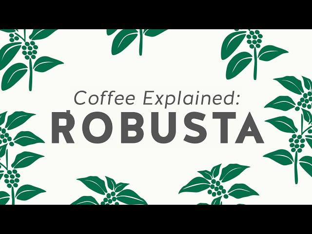 Coffee Explained: Robusta Blend Coffee