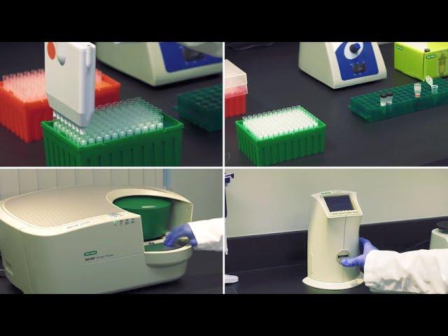 Droplet Digital PCR Whole Cell DNA Workflow Tips for Success