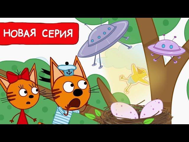 Три Кота | Яйцо | Мультфильмы для детей 2023 | Новая серия №213