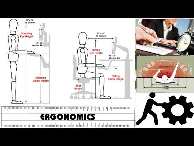 Ergonomics ( Basic Principles of Ergonomics )