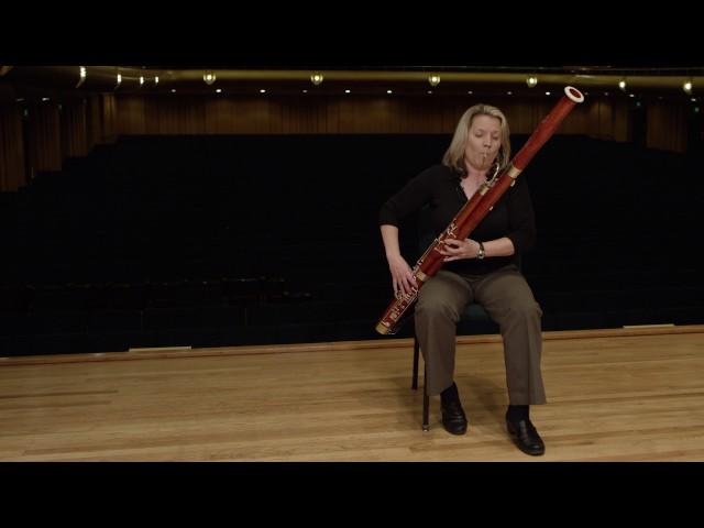 What does a bassoon sound like? (Ode to Joy)