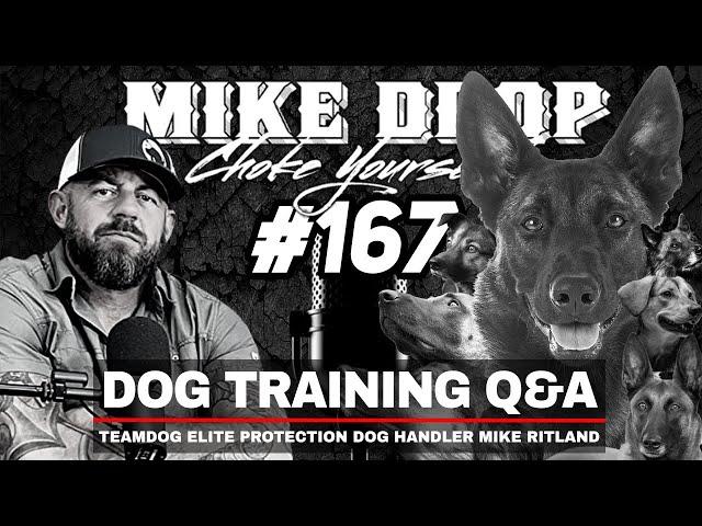 Dog Training Q&A with Navy SEAL Teamdog Founder Mike Ritland