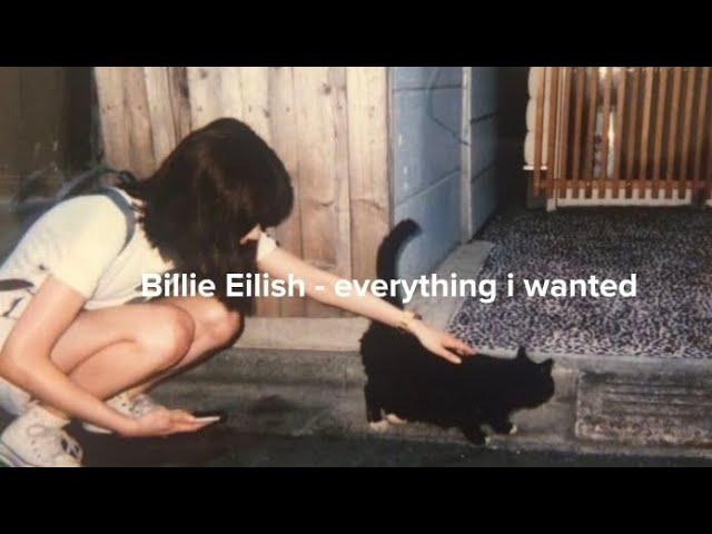 Billie Eilish - everything i wanted | русский перевод и текст