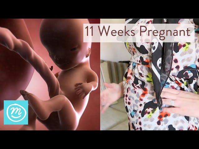 11 Weeks Pregnant: What You Need To Know - Channel Mum