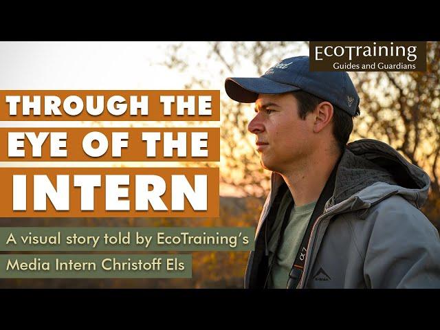 Through the Eye of the Intern | by Christoff Els Ep.1