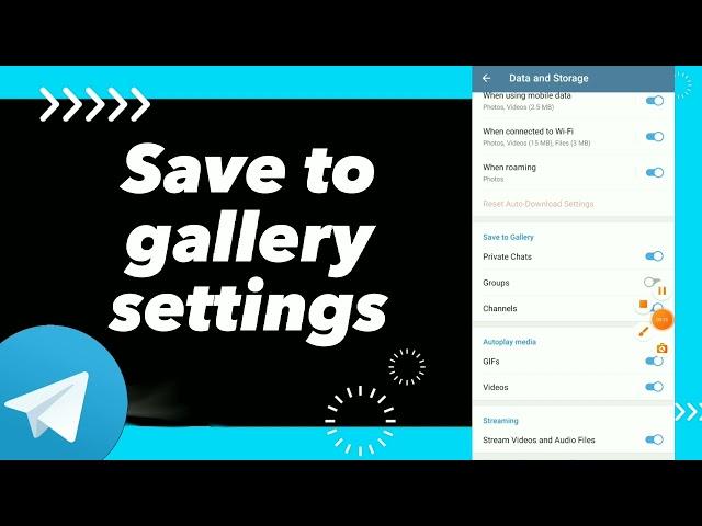 How To Fix Save To Gallery Settings On Telegram App