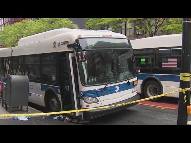 Young woman struck by B41 bus in Brooklyn: NYPD