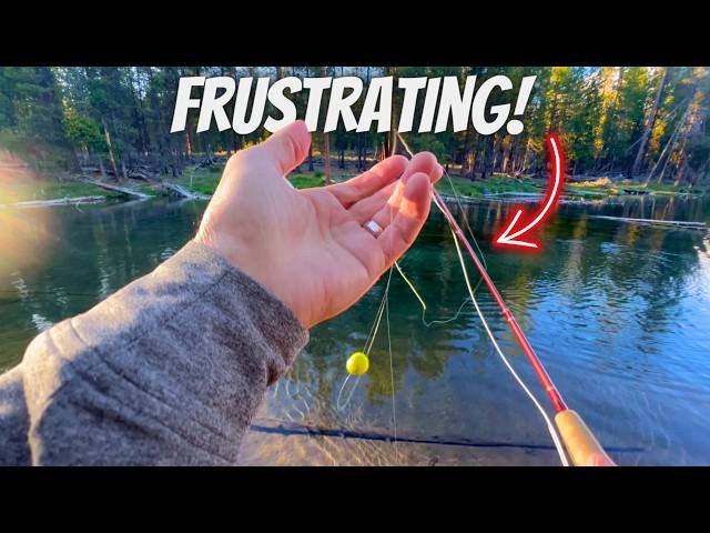 How to Cast Multiple Flies w/o Tangles