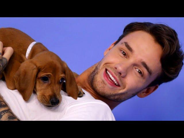 Liam Payne Plays With Puppies