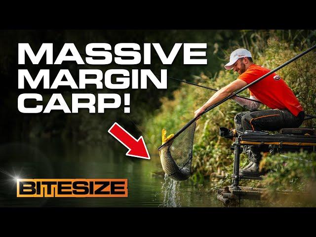 Catch more carp in the margins! | Guru Bitesize #037