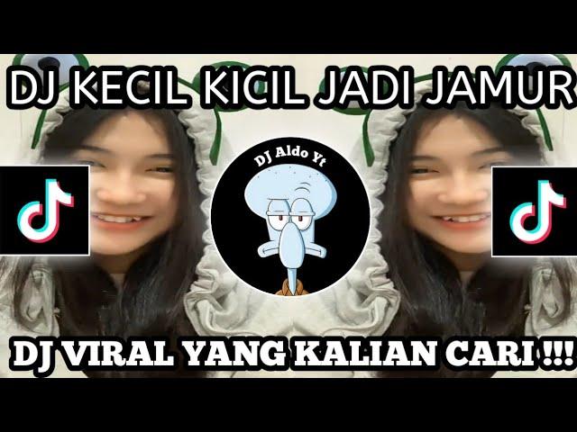 DJ KECIL KECIL SUDAH JADI JAMUR JANDA JANDA DI BAWAH UMUR | DJ  VIRAL TIKTOK 2023 |