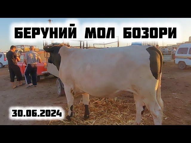 БЕРУНИЙ МОЛ БОЗОРИ 1-КИСМ 30.06.2024