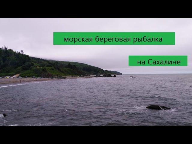 Морская береговая рыбалка на Сахалине