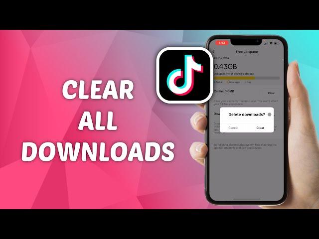 How to Delete All TikTok Downloads