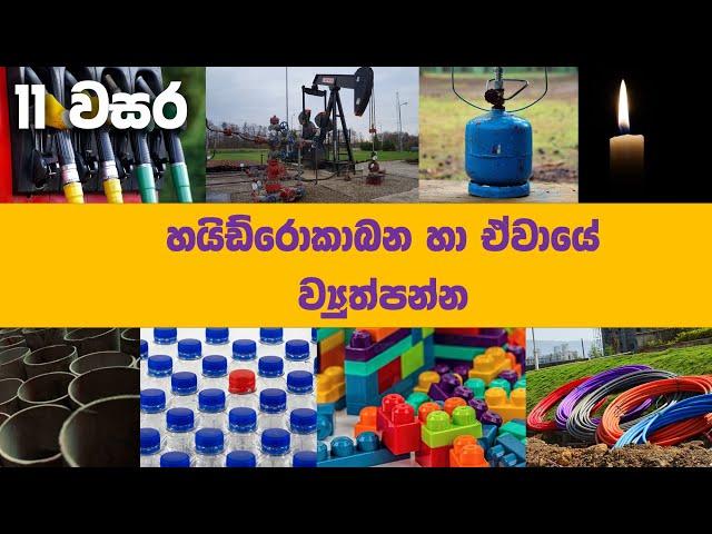 O/L Science Sinhala | Grade 11 Science Unit 14 | Hydrocarbons , Polymers | හයිඩ්රෝකාබන