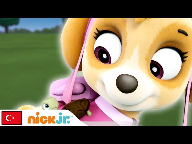 Pati Devriyesi | Eğitim Görevleri - 4. Bölüm | Nick Jr.