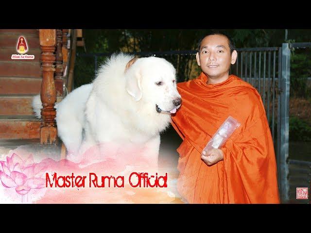 [Master Ruma Official] Minh Sư Ruma & Những Người Bạn Nhỏ l Phần 4