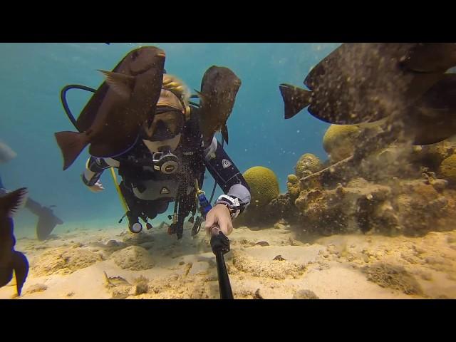 Scuba Diver Girls | Fish Are Friends In Bonaire!