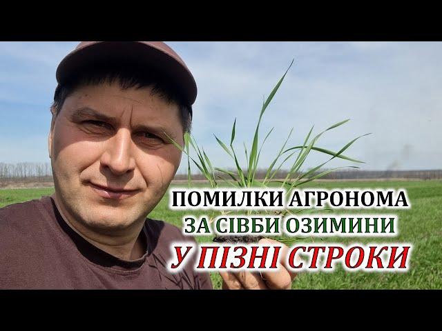 Помилки агронома за сівби озимини у пізні строки