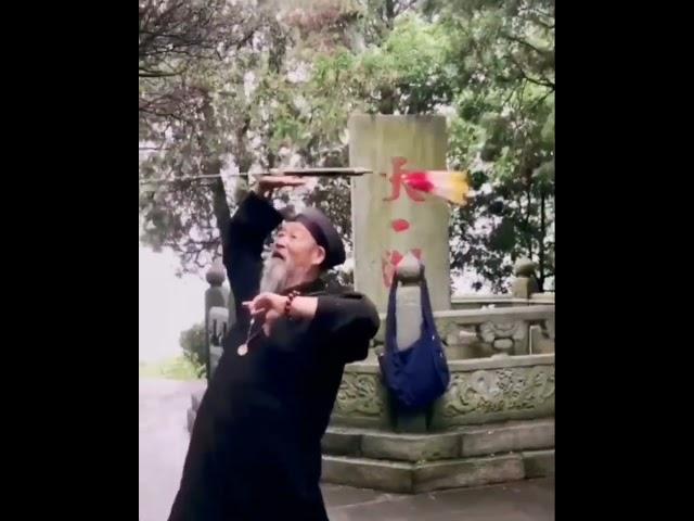 Elder Kung Fu Master in Wudang