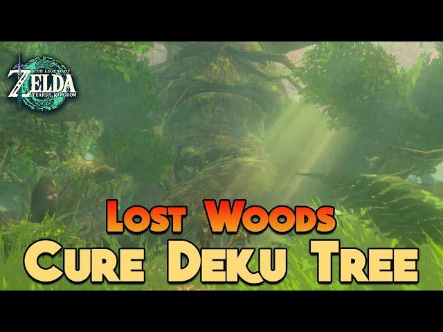 How to Navigate the Lost Woods and Cure the Deku Tree in Zelda: Tears of the Kingdom