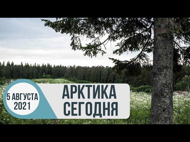 Арктика сегодня: «Арктический гектар», Северный морской путь, наука