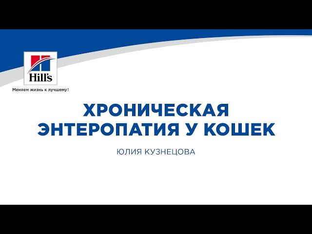 Вебинар на тему: “Хроническая энтеропатия у кошек”. Лектор - Юлия Кузнецова.