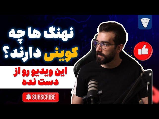 چجوری پشت نهنگ ها و ولت نهنگ ها خرید کنیم؟ سایت debank