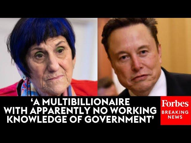 ‘A Self-Appointed President’: Rosa DeLauro Hammers Elon Musk For Killing Bipartisan Spending Bill