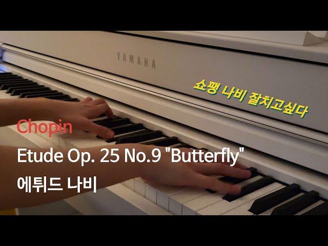 Chopin Etude Op. 25 No.9 "Butterfly" | 쇼팽 에튀드 나비 | 취미피아노