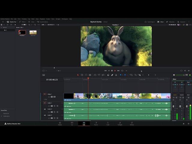 Davinci Resolve installed in Freebsd Jail