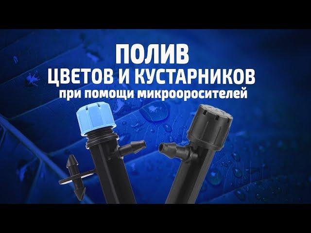 Полив цветов и кустарников при помощи микрооросителей - легко, недорого и эффективно!