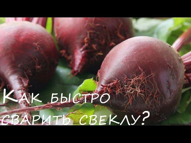 Как сварить свеклу быстро совет и просто   лайфхак #1000menu