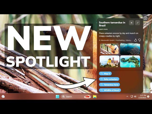 How to Enable New Spotlight UI with 3 Variants in Windows 11 25281